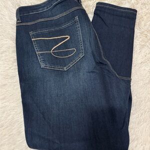 Melissa McCarthy Blue Jeggings Classic Style